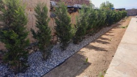 ����� ���� ��� ���� ����,�. ����, ������ �������