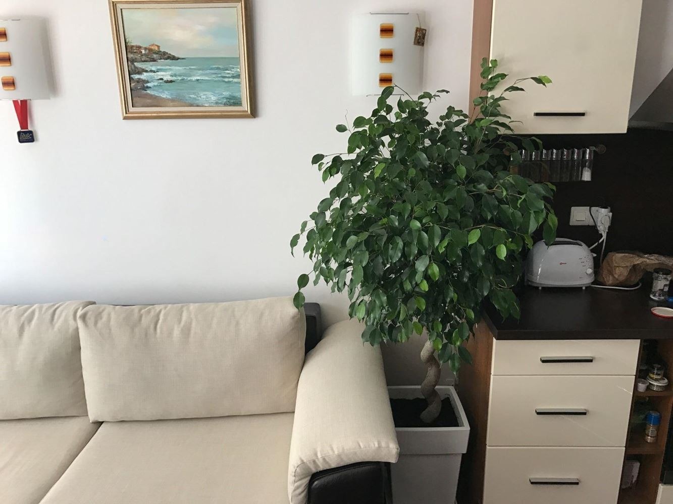 ���� ��� ���� 2-����� | Imot.bg � ����������� 2