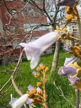 ���� ��� ���� ����������/���������� ����� | Imot.bg � ����� ������ 2