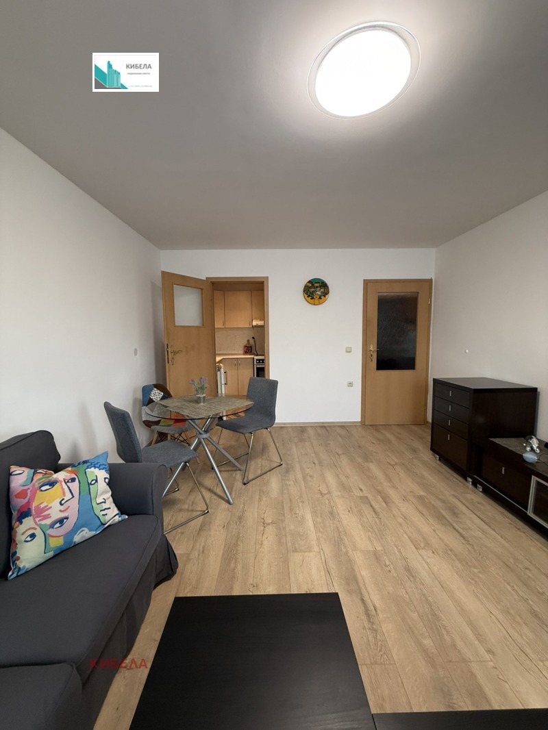 Дава под наем 2-СТАЕН, гр. София, Витоша, снимка 4 - Апартаменти - 52799563