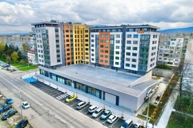 ������ ���� ��� ���� �������