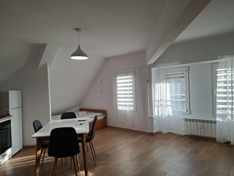 Дава под наем 1-СТАЕН, гр. София, Гео Милев, снимка 4 - Апартаменти - 53275914