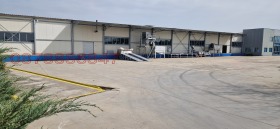 ����� ���� ��� ���� �����,���� �����, ���������� ����