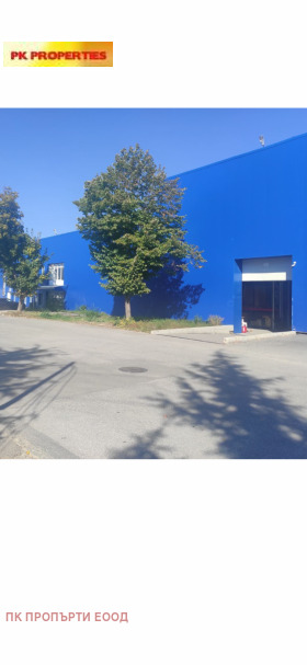 ������ ���� ��� ���� �����