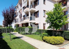 ����� ���� ��� ���� 3-�����,���� �����, ������