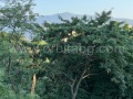 Под наем 3-СТАЕН, град София, Център • 750 € • 20778362 — Holmes.bg