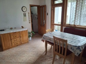 ����� ���� ��� ���� 3-�����,���� �����, ������� �������-��������