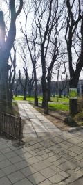 Дава под наем 3-СТАЕН, гр. Варна, Колхозен пазар, снимка 14