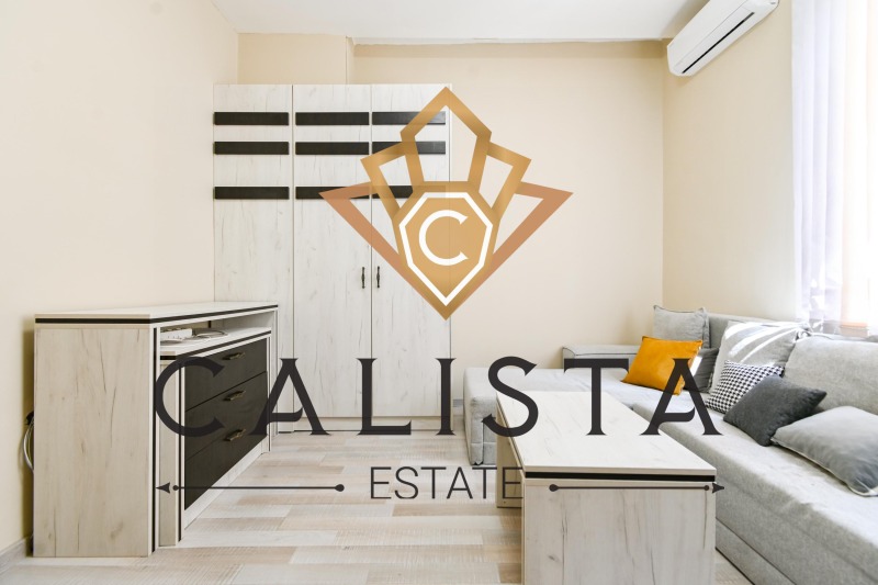 Издаје се  1 спаваћа соба Софија , Зона Б-5 , 50 м2 | 57454949 - слика [3]