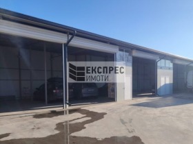 ������ ���� ��� ���� ������ ����