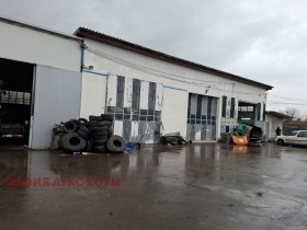 ����� ���� ��� ���� ����������,���� �����, ������ �����