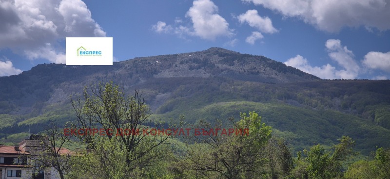 Προς ενοικίαση  1 υπνοδωμάτιο Σοφηια , Δραγαλεβτση , 70 τ.μ | 62517368 - εικόνα [14]