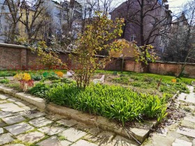 ���� ��� ���� ������, ����� | Imot.bg � ����� ������ 3