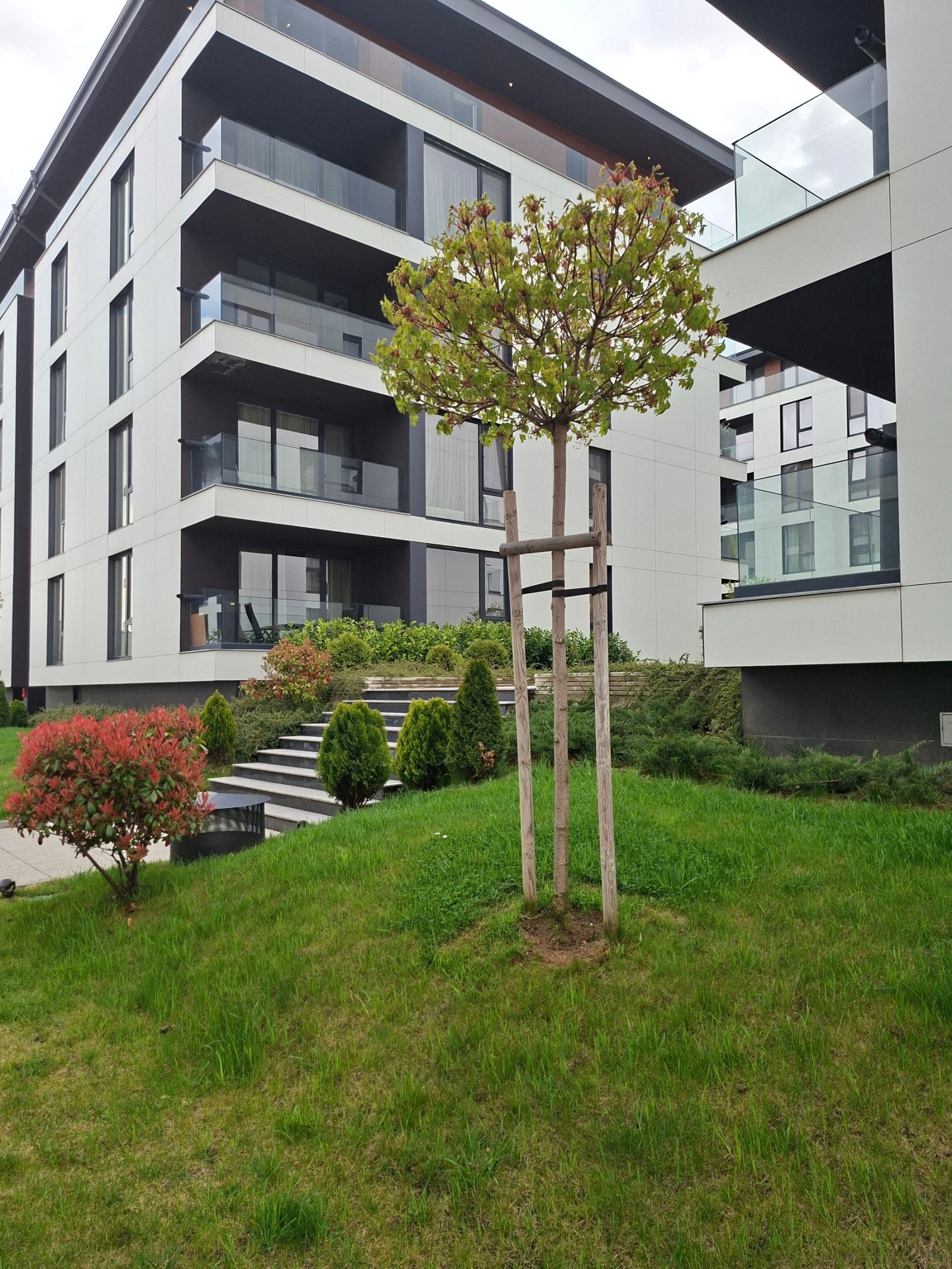 ���� ��� ���� 2-����� | Imot.bg � ����������� 16