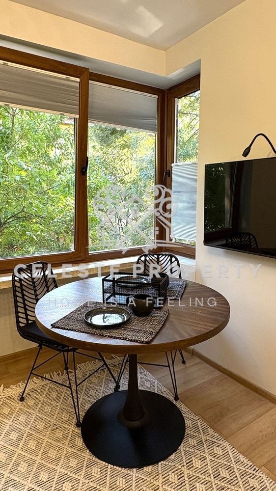 Дава под наем 1-СТАЕН, гр. София, Център, снимка 5 - Апартаменти - 52722081