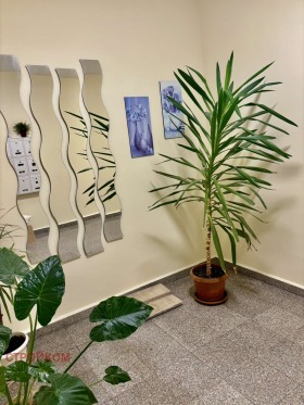 ���� ��� ���� 2-����� | Imot.bg � ����� ������ 11