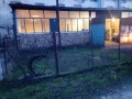 Дава под наем БИЗНЕС ИМОТ, гр. Костенец, област София област, снимка 3