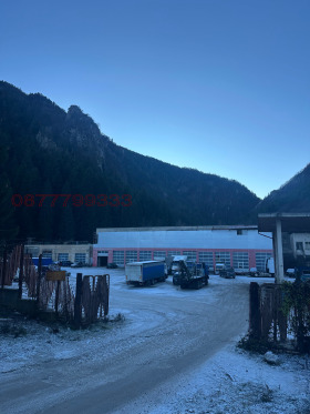 ����� ���� ��� ���� �������/�����,���� ������, ������