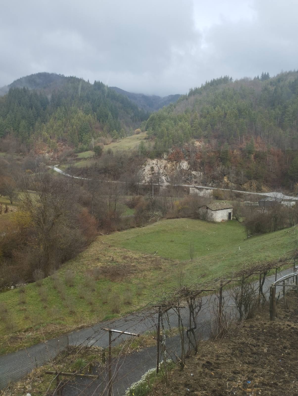 ���� ��� ���� 1-����� | Imot.bg � ����������� 1