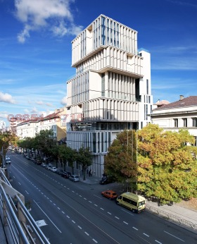 ������ ���� ��� ���� �������