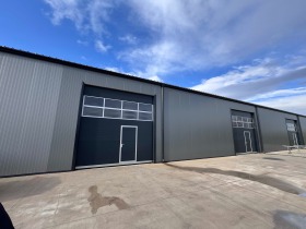 ������ ���� ��� ���� �����