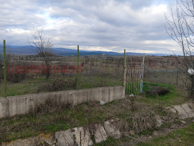 ����� ���� ��� ���� �����,�. ������, ������ �����������