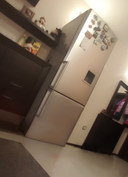 Til leie  1 soverom Sofia , Mladost 2 , 72 kvm | 54252677 - bilde [2]