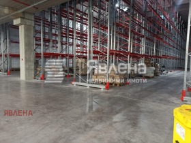 ����� ���� ��� ���� �����,���� �����, ������� ����������