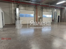 ����� ���� ��� ���� �����,���� �����, ������� ����������