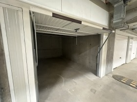 ����� ���� ��� ���� �����,���� �����, �������� ������