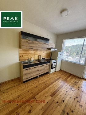 ����� ���� ��� ���� ���� �� ����,���� �����, �. ���������