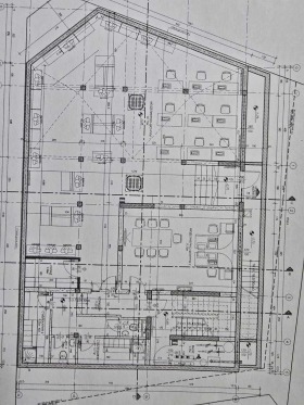 ������ ���� ��� ���� �������