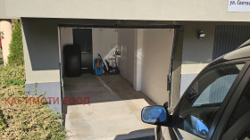 ����� ���� ��� ���� �����,���� �����, �������� ����