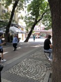 Под наем МАГАЗИН, град Пловдив, Център • 400 € • 48854790 — Holmes.bg