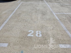 ����� ���� ��� ���� ����������,���� �����, ������ �������