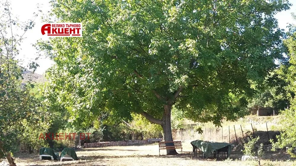 ���� ��� ���� ���� | Imot.bg � ����������� 16