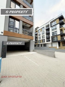 ����� ���� ��� ���� ����������,���� �����, �������� ������