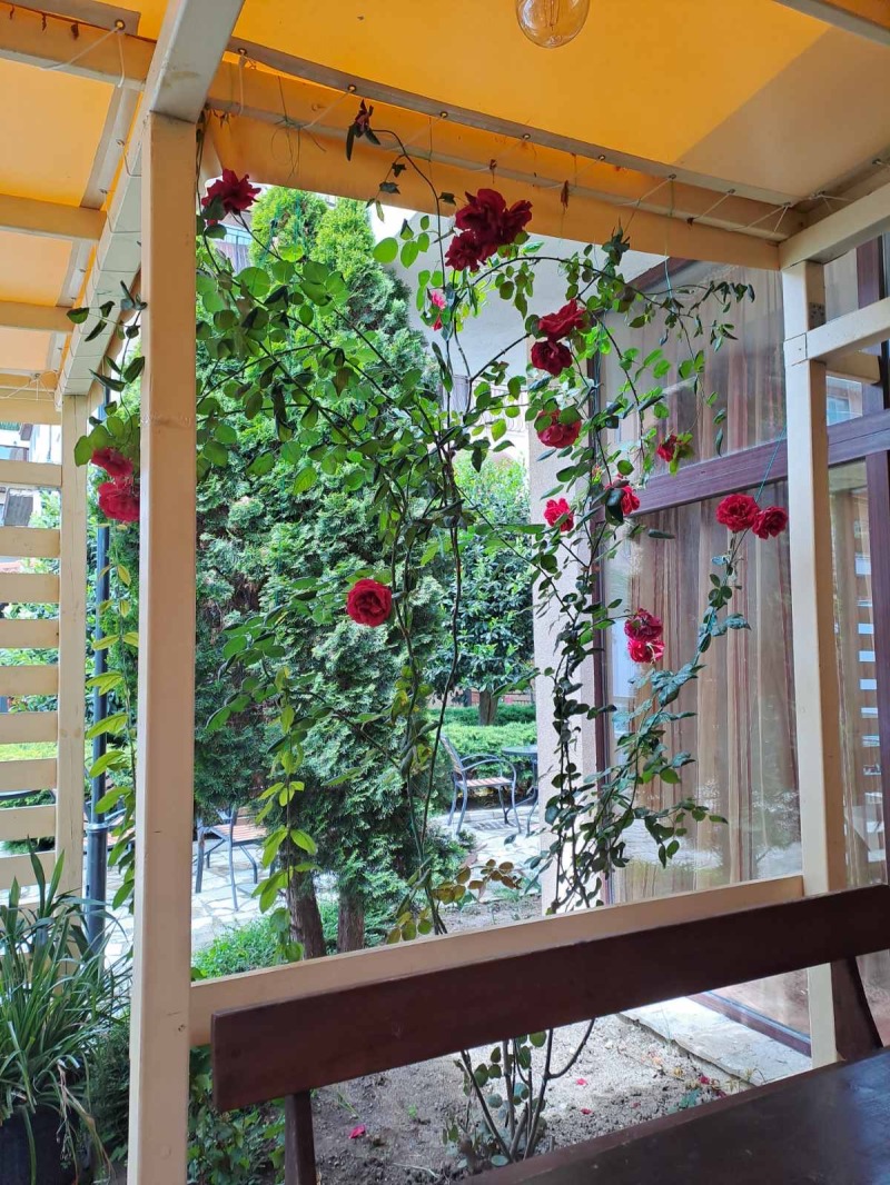 K pronájmu  Bar; Kavárna oblast Burgas , k.k. Slančev brjag , 100 m2 | 55397505 - obraz [3]