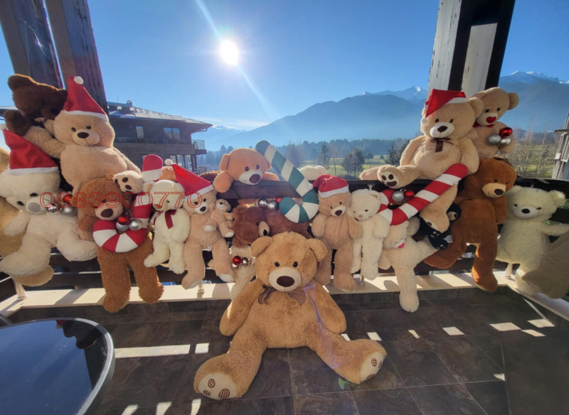 Дава под наем 2-СТАЕН, гр. Разлог, област Благоевград, снимка 2 - Апартаменти - 52878641