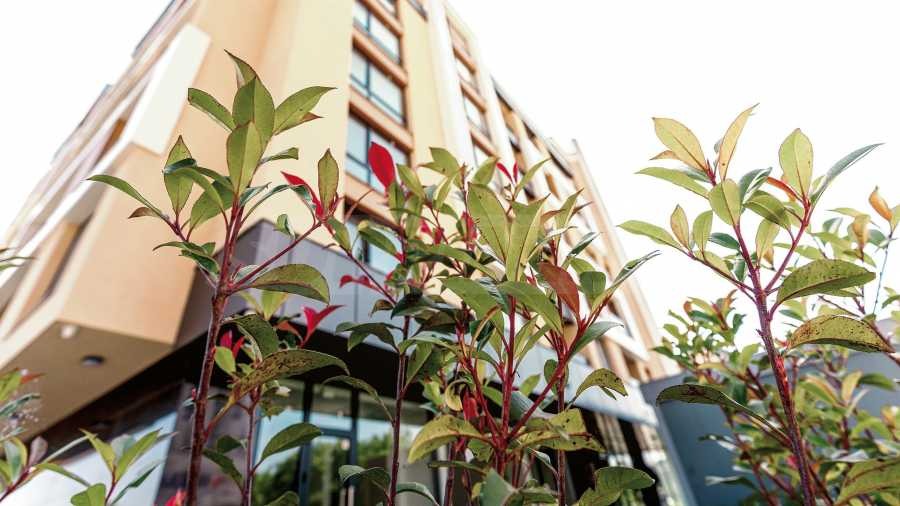 ���� ��� ���� 2-����� | Imot.bg � ����������� 11