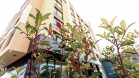 ���� ��� ���� 2-����� | Imot.bg � ����� ������ 11