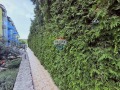 Под наем 2-СТАЕН, област Добрич, гр. Балчик • 400 € • 20418091 — Holmes.bg