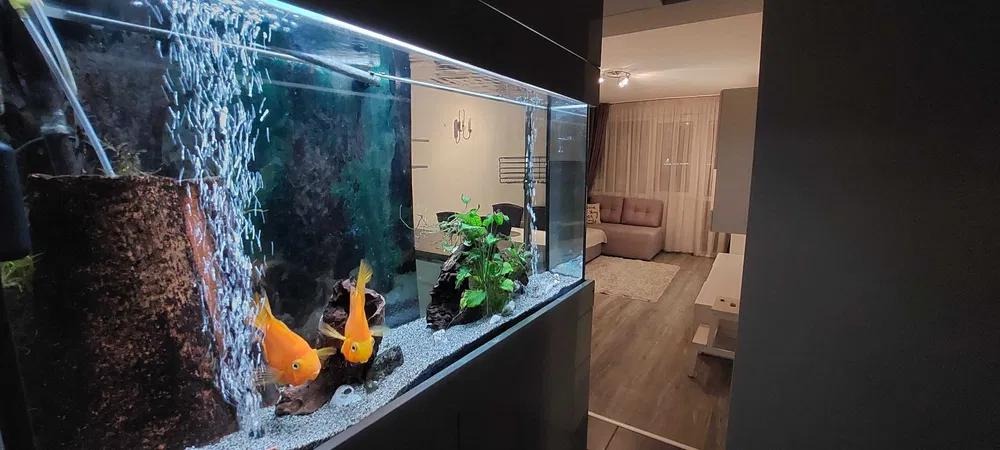 Дава под Наем 3-СТАЕН | Imot.bg — изображение 7