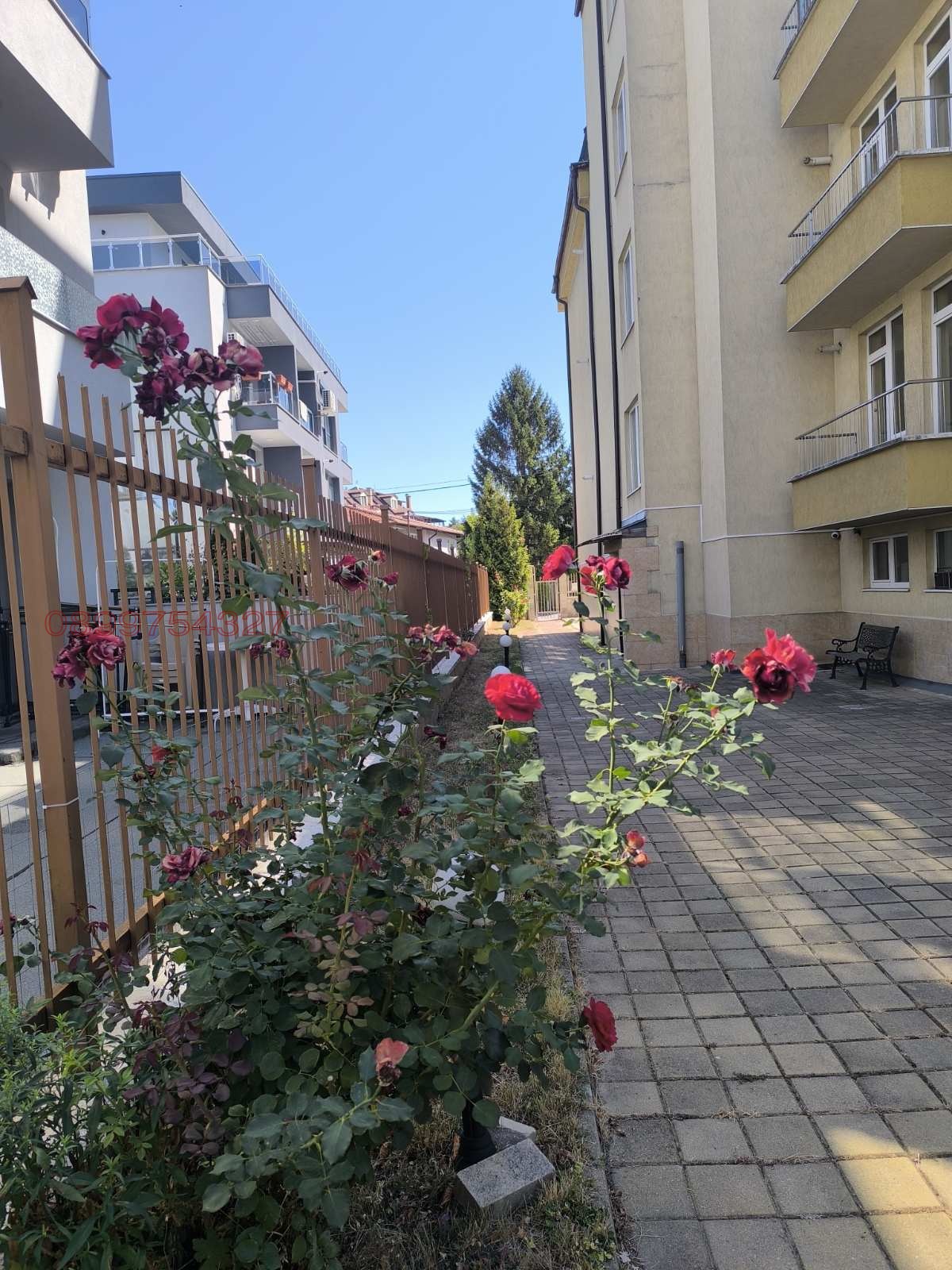 ���� ��� ���� 2-����� | Imot.bg � ����������� 1