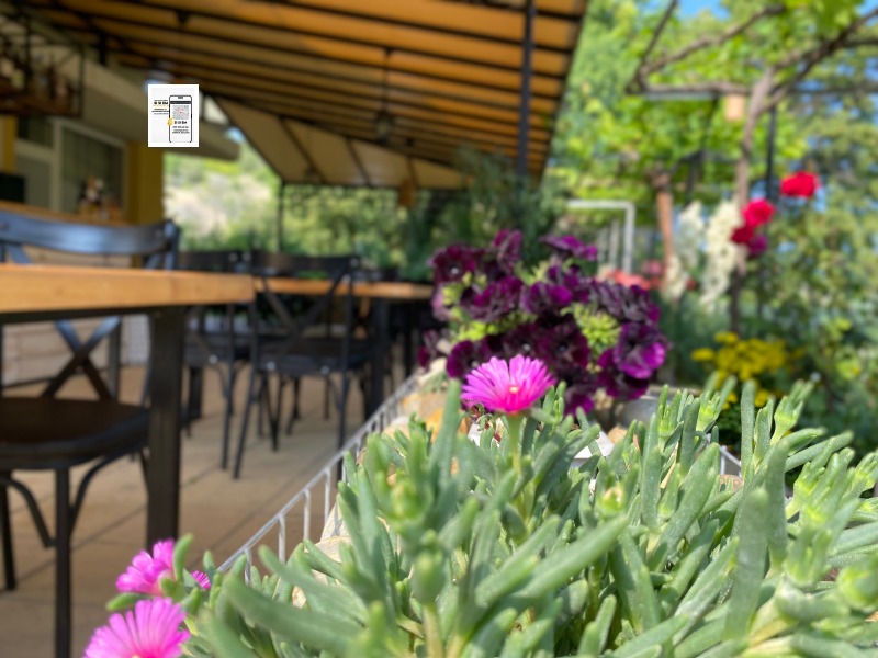 Дава под наем ЗАВЕДЕНИЕ, гр. Каварна, област Добрич, снимка 6 - Заведения - 52533666