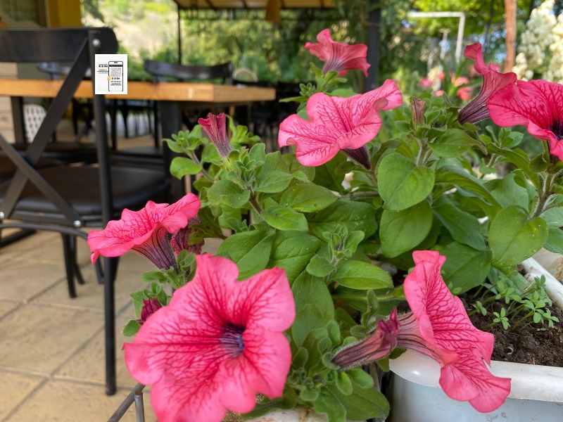 Дава под наем ЗАВЕДЕНИЕ, гр. Каварна, област Добрич, снимка 7 - Заведения - 52533666