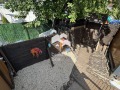 Дава под наем  3-стаен град София , Младост 4 , 98 кв.м | 67004365 - изображение [14]