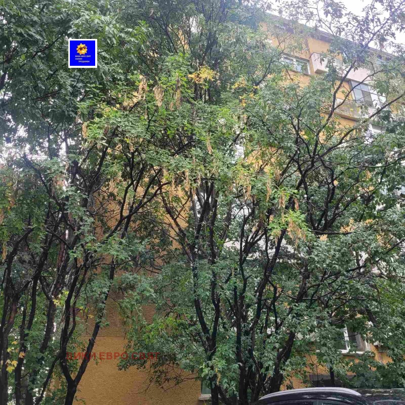 Zu vermieten  1 Schlafzimmer Sofia , Mladost 1 , 65 qm | 45058224 - Bild [8]