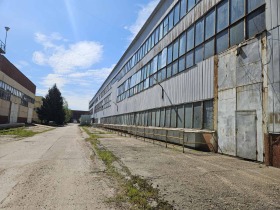 ������ ���� ��� ���� �����