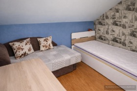 ����� ���� ��� ���� 2-�����,���� �������, �������� ����>